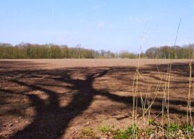 Paasontbijt Brabants Landschap