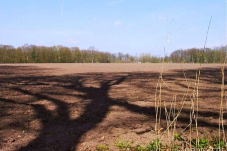 Paasontbijt Brabants Landschap