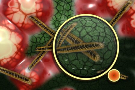 Hiv-vaccinatieproject: waarden omhoog