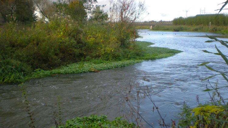 Met de bus door de Groene Delta ‘s-Hertogenbosch