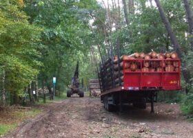 Droog meer & toekomstboom