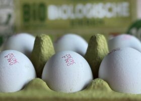 Provinciekantine minder eko