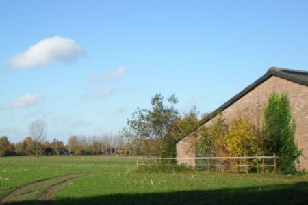 De SP over megastallen