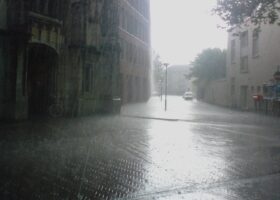 Weer voor Bosch’ leesplankje