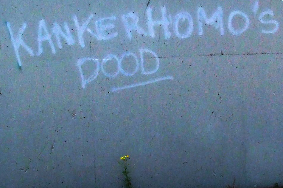 Homohaat in Woensel-Zuid