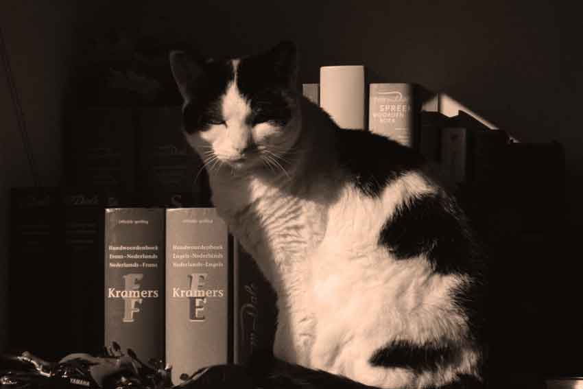 Lofprijs der Nederlandse Taal