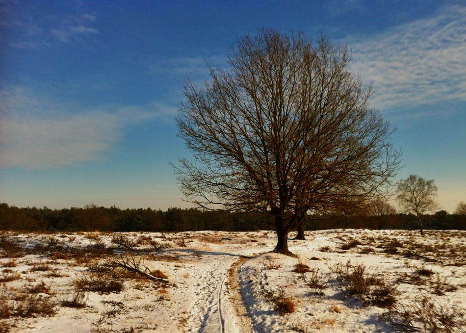 Boerenbelang – natuurbelang