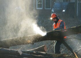 Nieuwe brug: bomen weg