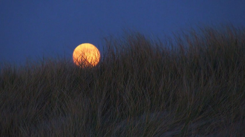 Ik was even elders. Op Texel.