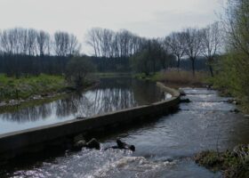 Toekomst voor het Markdal?