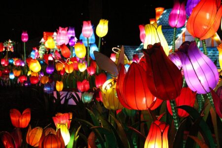 China Light Festival Rotterdam