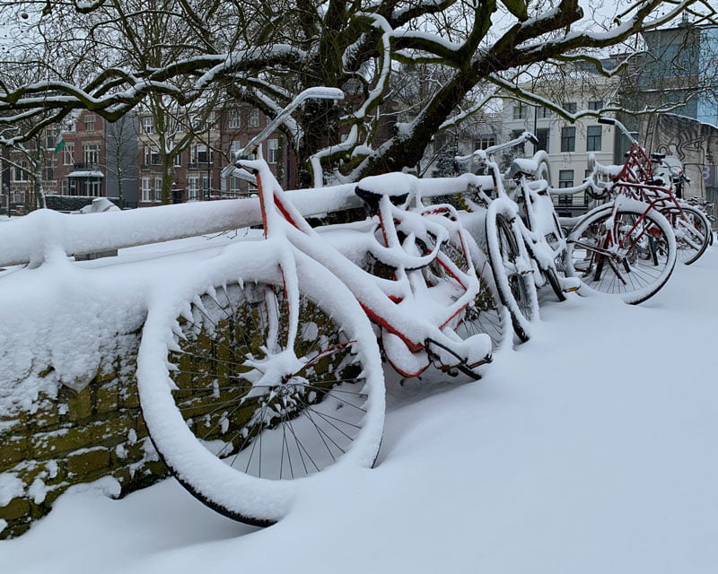 Winter in Rotterdam