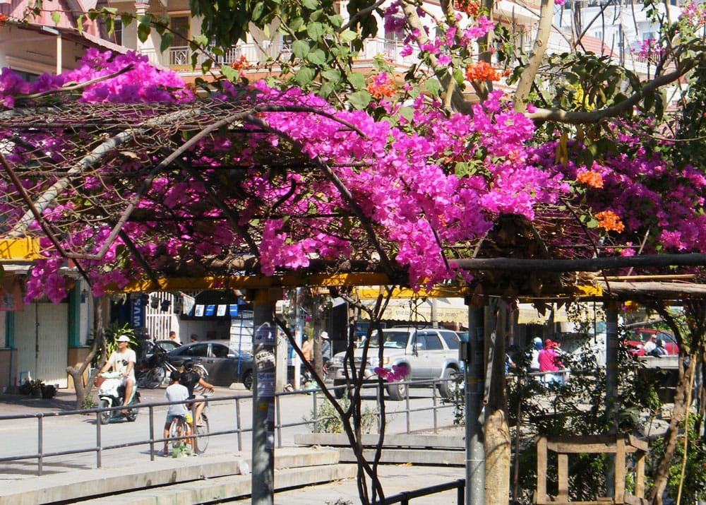 Phnom Penh – the Charming City