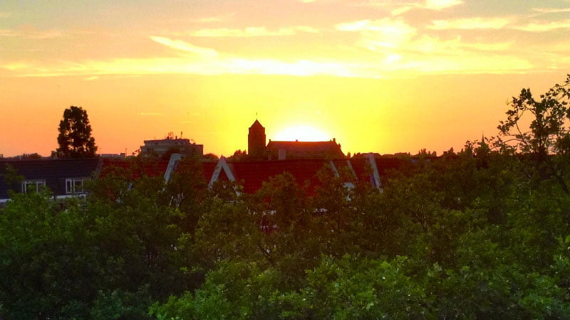 Groen dak & luchtkwaliteit