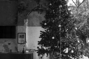 Witte Kerst in de tropen?