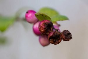 2016: nieuwe ronde, nieuwe kansen