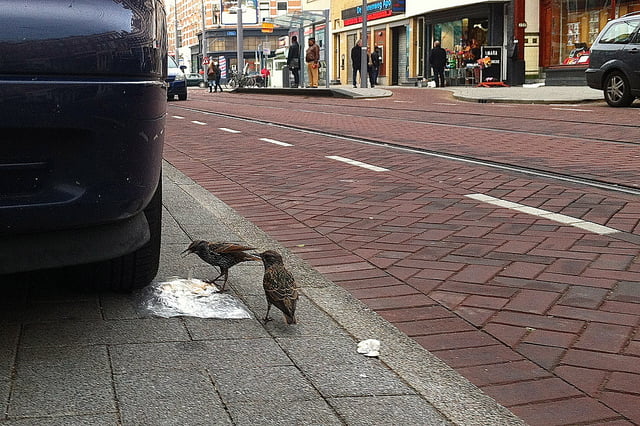 In Rotterdam: eigen brood eerst