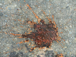 In Yangon: bloed op de stoep?