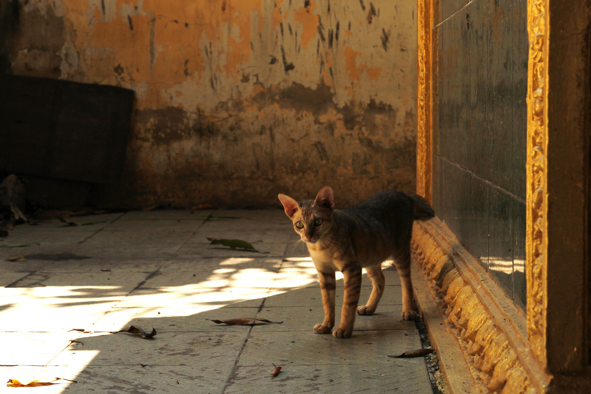 Untenu: werken in de luwte