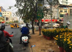 Censuur in het jaar van de hond