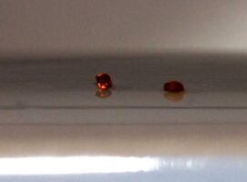 Pijnlijke – doch wonderscone verlossing