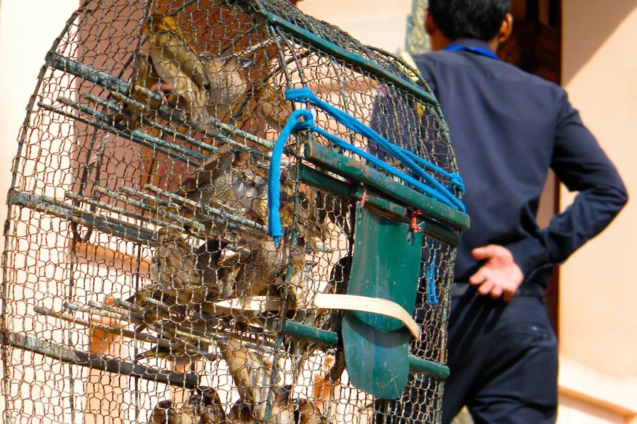 Cambodja: Australiër verordeeld wegens ‘spionage’