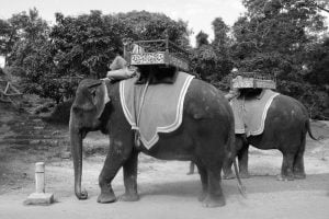 In Cambodja en verder