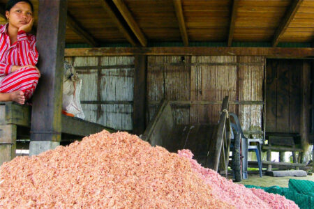 Cambodja: Kookboek; Vertalen; EU; Sam Rainsy & meer