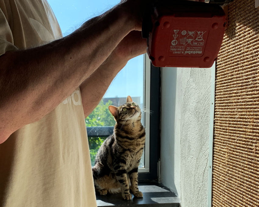 Lola kan ‘de boom in’