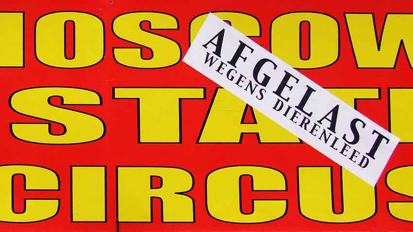 Circus afgelast wegens dierenleed