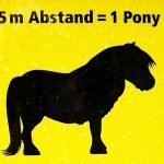 Berlijn: 1 pony verwijderd van COVID