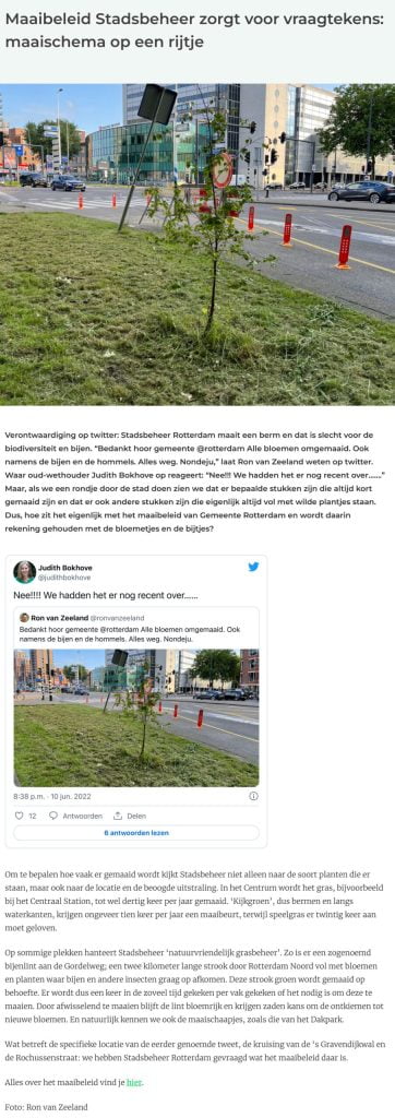 bloemetjes
maaibeleid