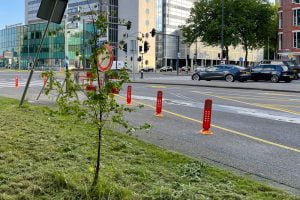 Doei bloemetjes en bijtjes