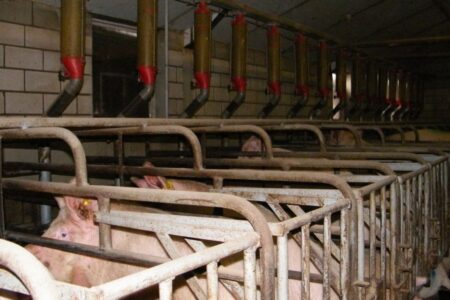 Megastal Diessen op de tocht