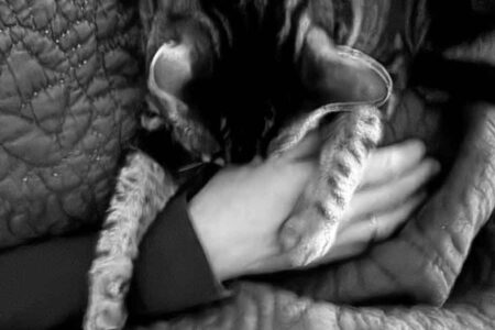 Berlijn is niet altíjd fijn